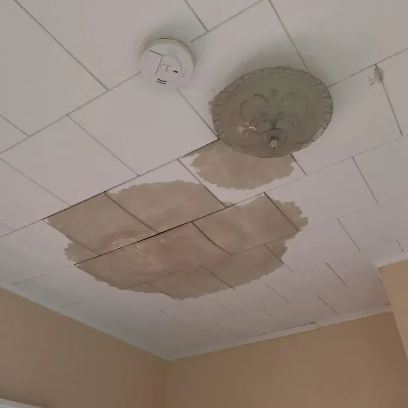 Ceiling Water Damage Repair in Bainbridge, NY